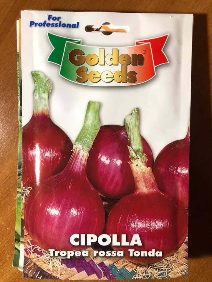 Semi di cipolla precocissima di pompei - Italsementi